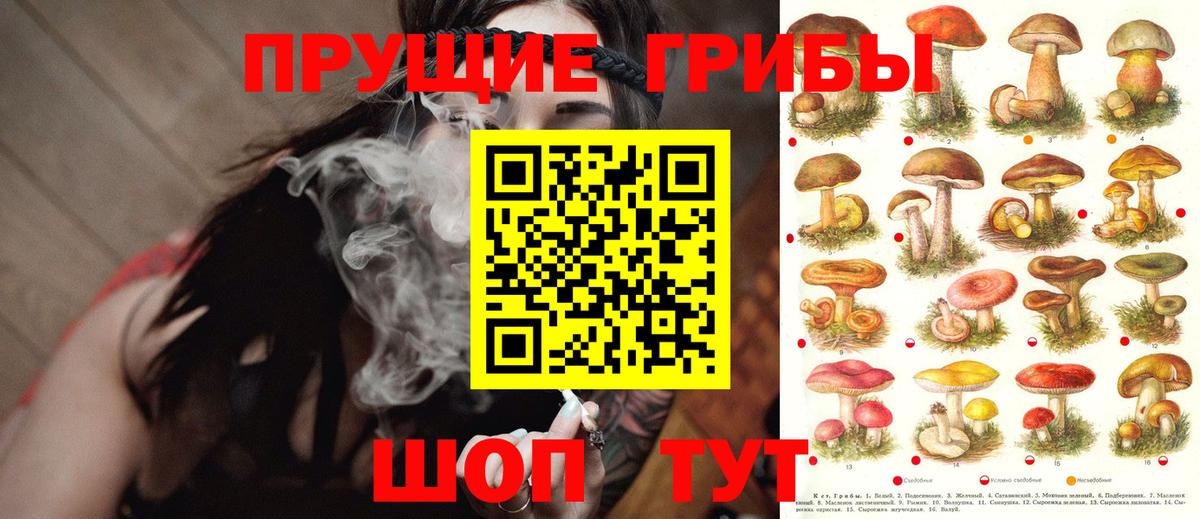 цена наркотик  Вход с VPN  Саранск  Псилоцибиновые грибы GOLDEN TEACHER  Псилоцибиновые грибы GOLDEN TEACHER 